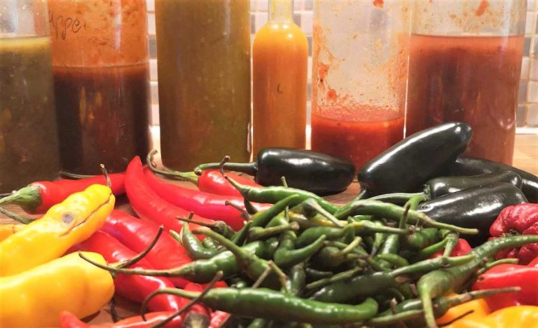 cannabis hotsauce recept