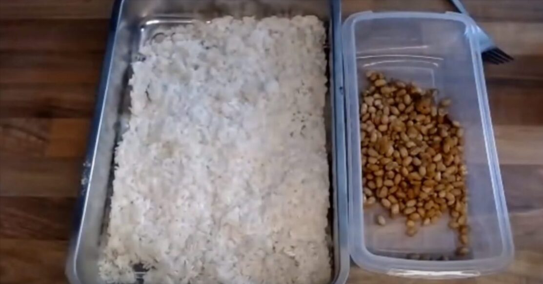Online cursus Miso maken - Afbeelding 4