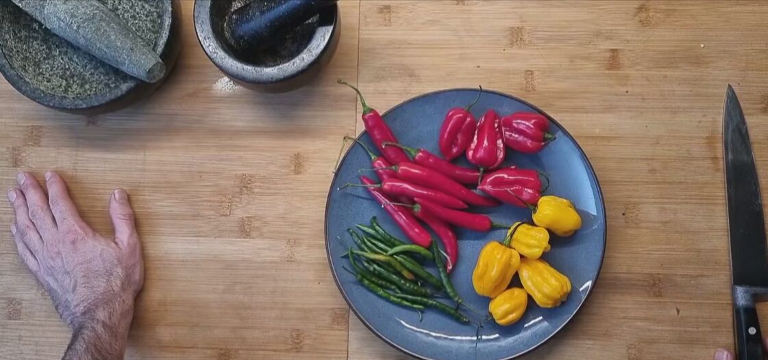Online cursus sambal maken - Afbeelding 2